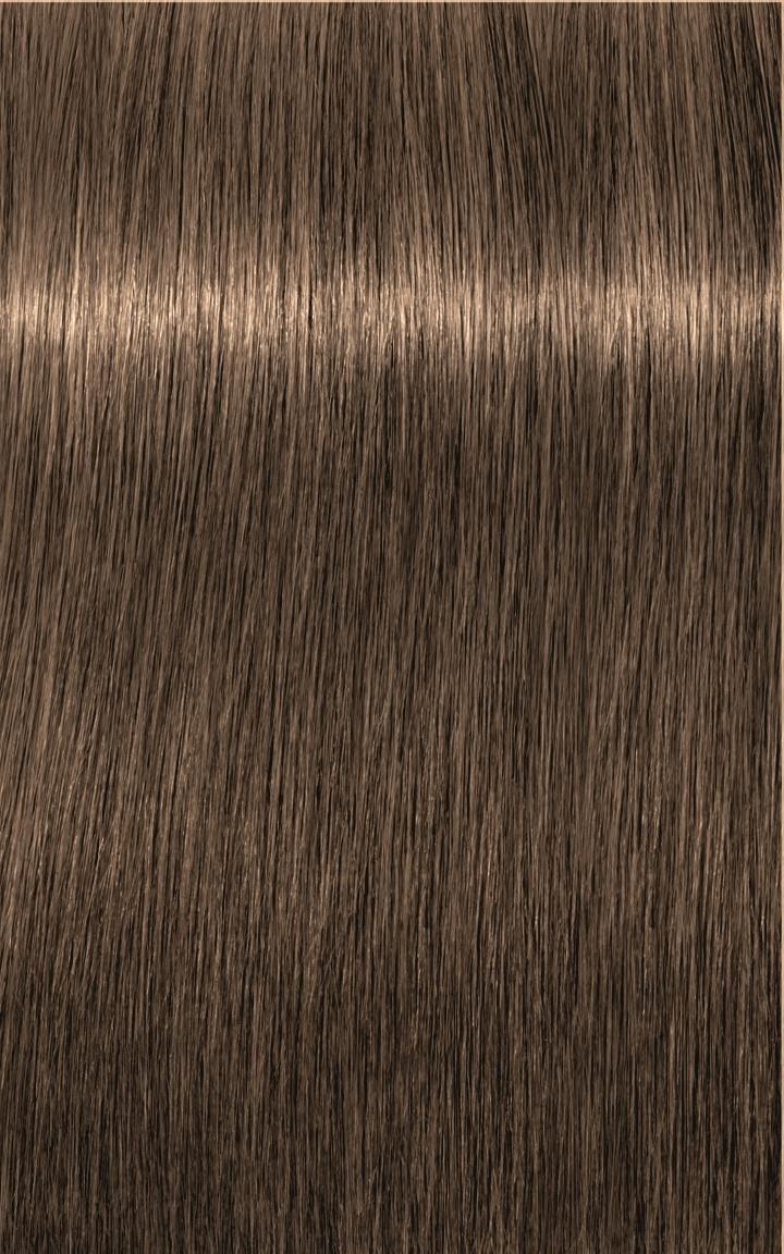 Xpress Color 6.03