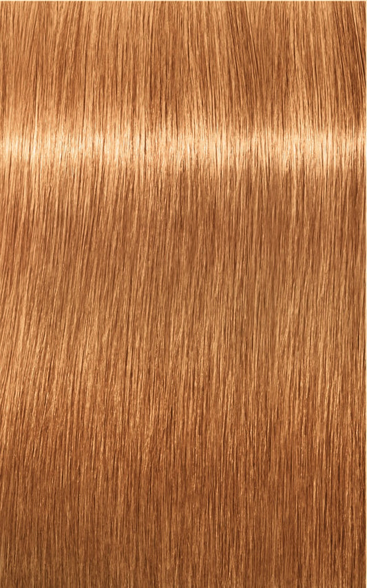 Blonde Expert P.14