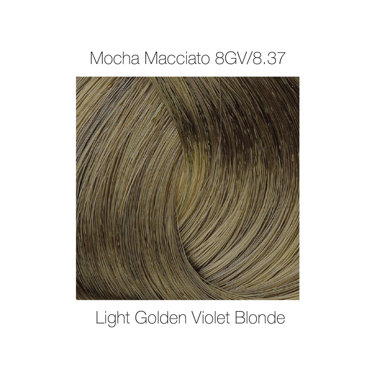 Liquid Gloss 8GV / 8.37 Mocha Macchiato